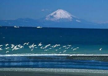 Tateyama Seaside Hotel Εξωτερικό φωτογραφία